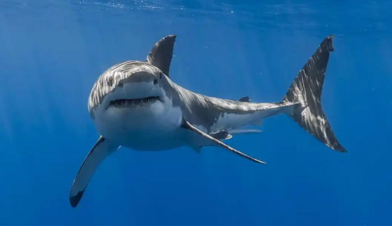 北京凯信标识科技有限公司轮播图2