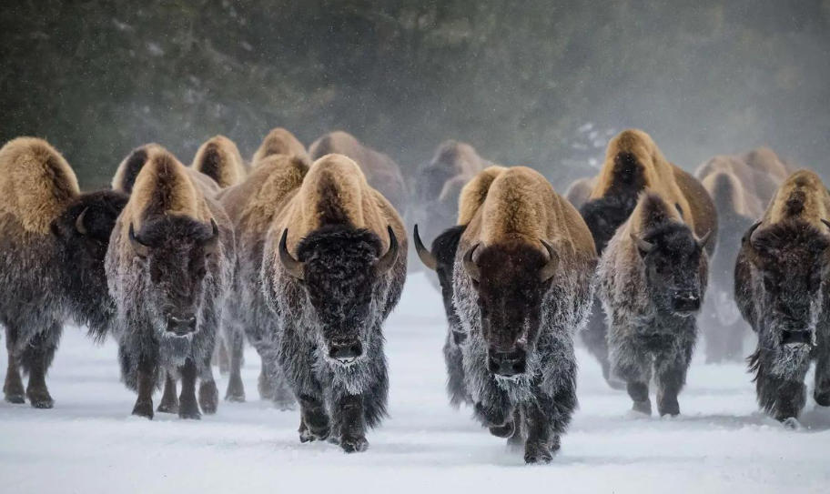 北京凯信标识科技有限公司轮播图3